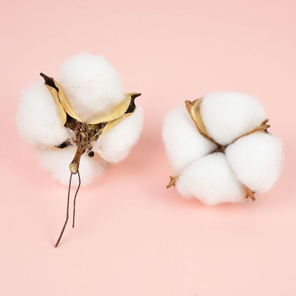 5/10p 5cm natural dried flowers kapok white cotton diy craft wreath gift box scrapbook for wedding party home decorations flower decorative
5/10p 5cm natural dried flowers kapok white cotton diy craft wreath gift box scrapbook for wedding party home decorations flower decorative