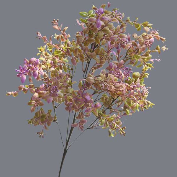 decorative flowers & wreaths 1pc artificial plants waterweed wedding wall decor green leaf plastic fake plant for home garden decoration
decorative flowers & wreaths 1pc artificial plants waterweed wedding wall decor green leaf plastic fake plant for home garden decoration