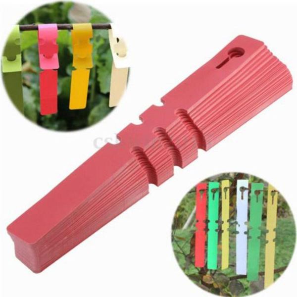 100pcs garden plant pot markers plastic stake tied tags court nursery seed labels decor other supplies
100pcs garden plant pot markers plastic stake tied tags court nursery seed labels decor other supplies