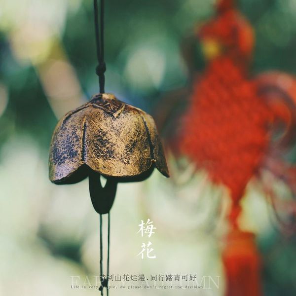 japanese copper wind chime window outdoor garden wall kids room household ornament decoracion home decoration df50fl decorative objects & fi
japanese copper wind chime window outdoor garden wall kids room household ornament decoracion home decoration df50fl decorative objects & fi