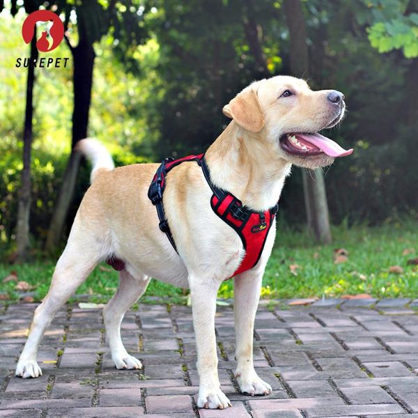 dog collars & leashes harness no pull,adjustable reflective vest for medium large dogs name: pul
dog collars & leashes harness no pull,adjustable reflective vest for medium large dogs name: pul