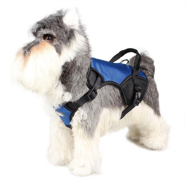 dog collars & leashes adjustable soft breathable harness nylon mesh vest for dogs puppy collar cat pet chest strap leash
dog collars & leashes adjustable soft breathable harness nylon mesh vest for dogs puppy collar cat pet chest strap leash