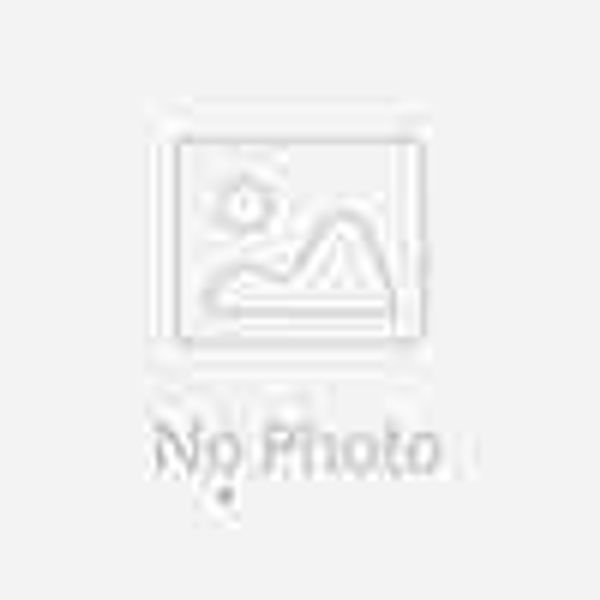 undergarments sleepwear 2021 modena lace lingerie set 15615, White
undergarments sleepwear 2021 modena lace lingerie set 15615, White