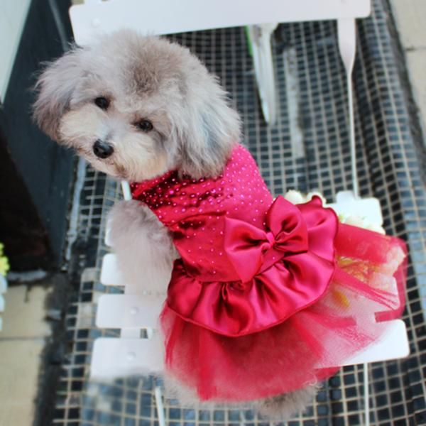 dog apparel puppy wedding party lace skirt clothes bow tutu princess dresses pet
dog apparel puppy wedding party lace skirt clothes bow tutu princess dresses pet