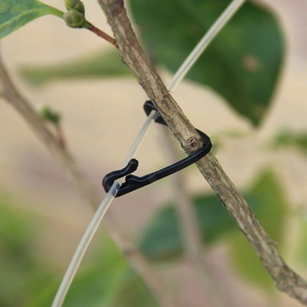 other garden supplies 50 pcs vines fastener tied buckle hook agricultural greenhouse plant vegetable grafting clips attachment
other garden supplies 50 pcs vines fastener tied buckle hook agricultural greenhouse plant vegetable grafting clips attachment