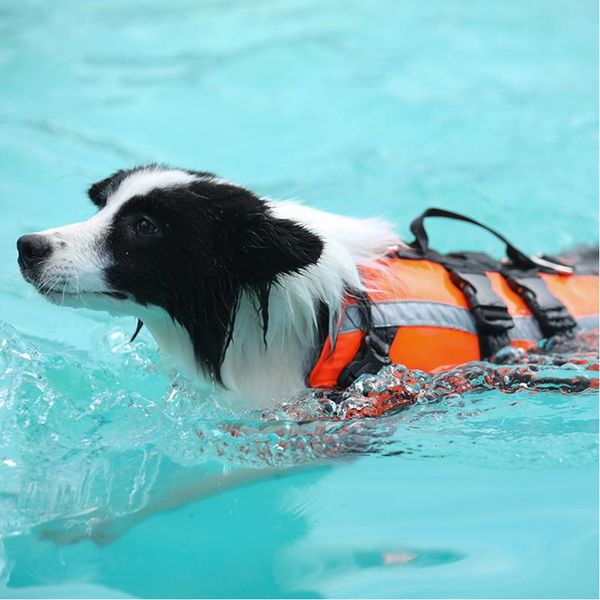 dog apparel reflective vest safety life jacket portable swimwear accessories summer outdoor with handle pet supplies adjustable l0703
dog apparel reflective vest safety life jacket portable swimwear accessories summer outdoor with handle pet supplies adjustable l0703