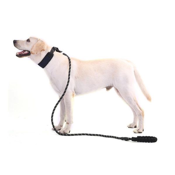 dog collars & leashes pet reflective multicolor round rope leash chain pull belt comfortable large
dog collars & leashes pet reflective multicolor round rope leash chain pull belt comfortable large