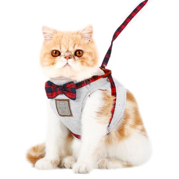 suits for cat kitten harness leads set adjustable strap vest yorkies small pets costume clothes jogging leashes bowknot decor collars &
suits for cat kitten harness leads set adjustable strap vest yorkies small pets costume clothes jogging leashes bowknot decor collars &