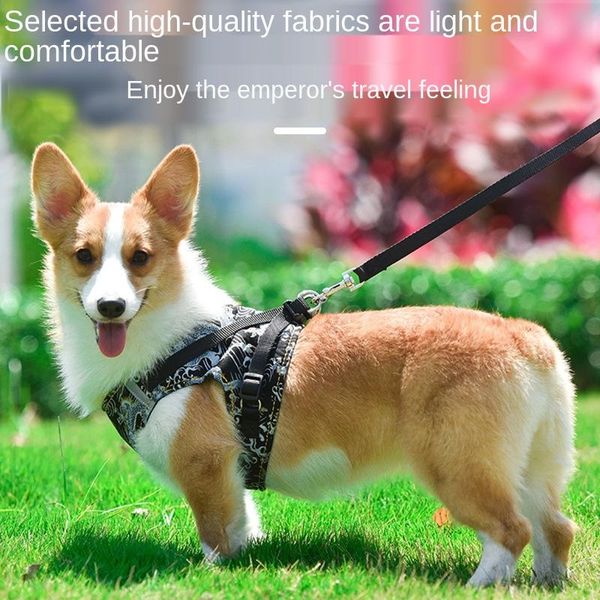 dog collars & leashes sternum strap undershirt type chinese dragon pet reflective leash
dog collars & leashes sternum strap undershirt type chinese dragon pet reflective leash