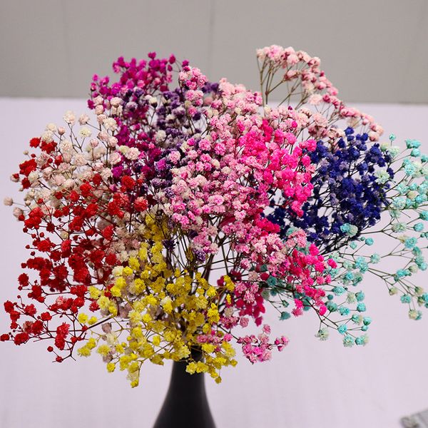 30g gypsophila natural dried babys breath flowers diy bouquets arrangement wedding home party decor plant flower wall
30g gypsophila natural dried babys breath flowers diy bouquets arrangement wedding home party decor plant flower wall
