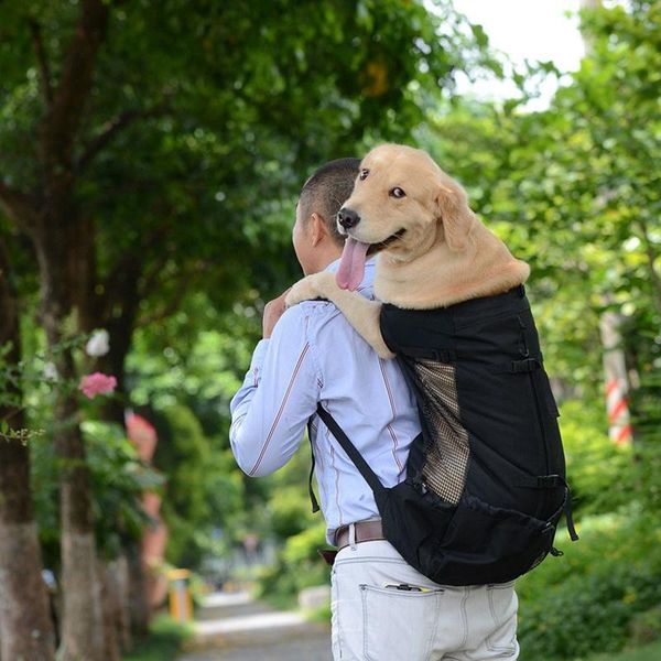 dog car seat covers pet carriers backpacks cat puppy carry sling bag bags front shoulder chest pack out multi colors
dog car seat covers pet carriers backpacks cat puppy carry sling bag bags front shoulder chest pack out multi colors