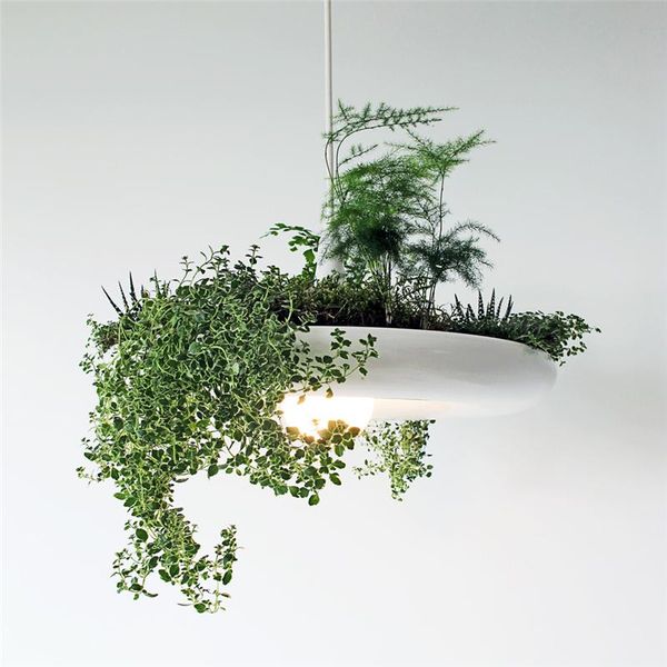 pendant lamps modern sky garden plant led lights diy flowerpot hanging lamp bar cafe kitchen dining room light fixtures home decor
pendant lamps modern sky garden plant led lights diy flowerpot hanging lamp bar cafe kitchen dining room light fixtures home decor