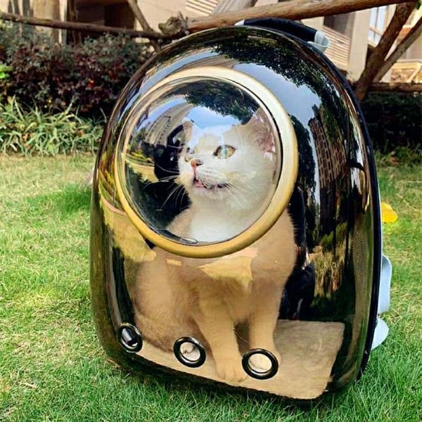 backpack breathable pet carriers small dog cat portable carrier bag outdoor travel transport for and
backpack breathable pet carriers small dog cat portable carrier bag outdoor travel transport for and