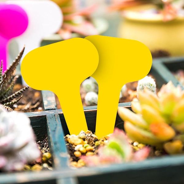 waterproof plant label tag t-type plastic nursery garden flower thick mark decoration ornaments decorations
waterproof plant label tag t-type plastic nursery garden flower thick mark decoration ornaments decorations