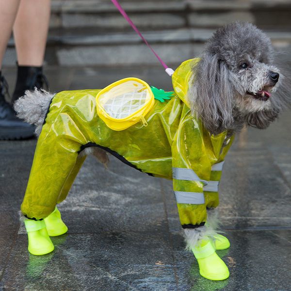 small raincoat all four feet waterproof teddy bear medium small dog pet clothes cute poncho summer
small raincoat all four feet waterproof teddy bear medium small dog pet clothes cute poncho summer