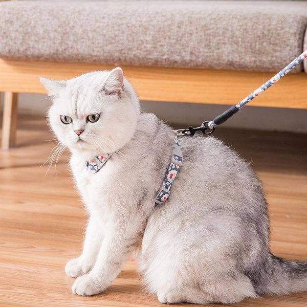 comfortable floral cat harness bow pet leashes chest adjustable flower cats walk strap for collars & leads
comfortable floral cat harness bow pet leashes chest adjustable flower cats walk strap for collars & leads
