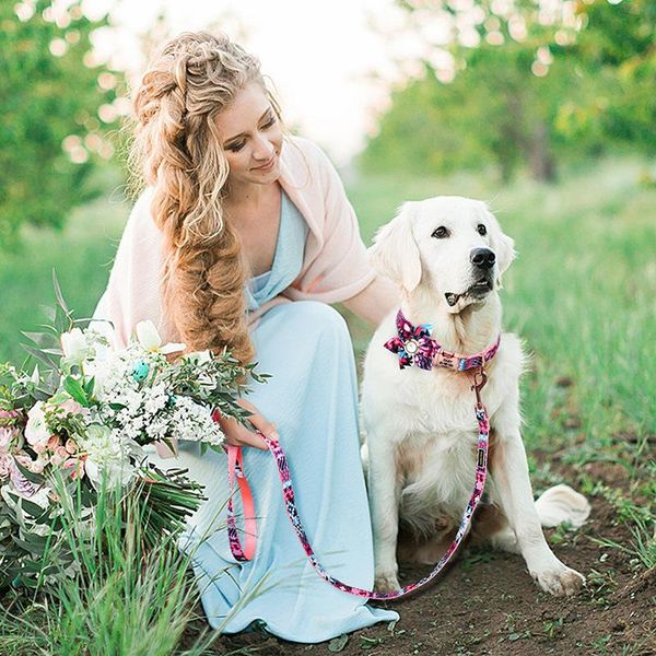 dog collars & leashes collar with leash pet products things custom engraved nylon printed id for poodle bichon frise chihuahua fawn
dog collars & leashes collar with leash pet products things custom engraved nylon printed id for poodle bichon frise chihuahua fawn