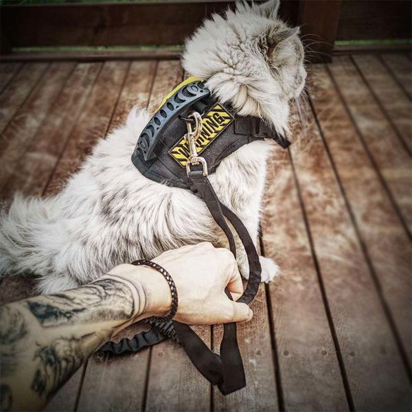 cat collars & leads tactical vest strong and durable harness outing supplies leash accessories small dog
cat collars & leads tactical vest strong and durable harness outing supplies leash accessories small dog