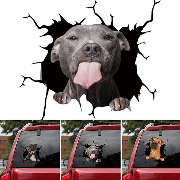 wall stickers funny car electrostatic decorative glass window decal sticker adhesive simulation animal ornament hr
wall stickers funny car electrostatic decorative glass window decal sticker adhesive simulation animal ornament hr