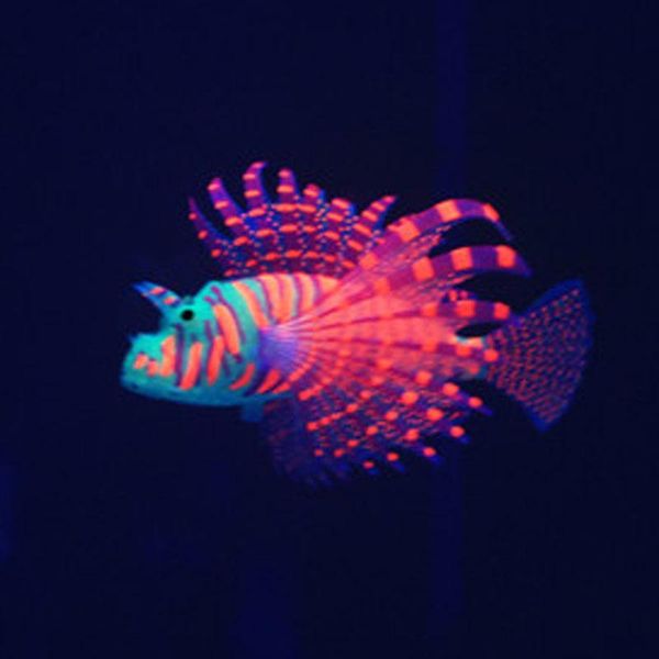 decorations aquarium decoration for fishes fluorescent simulation glow lion fish tropical water ornament tank supplies
decorations aquarium decoration for fishes fluorescent simulation glow lion fish tropical water ornament tank supplies