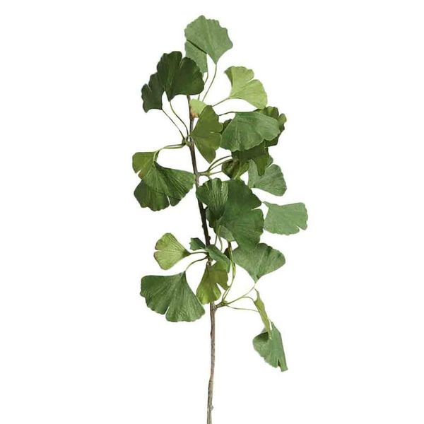 autumn home decoration artificial dried flowers ginkgo plants silk fake leaves office wedding diy decorative & wreaths
autumn home decoration artificial dried flowers ginkgo plants silk fake leaves office wedding diy decorative & wreaths
