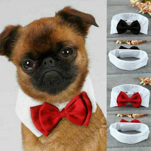 dog apparel pet puppy kitten cat adjustable necktie bow tie cute neck collar accessory
dog apparel pet puppy kitten cat adjustable necktie bow tie cute neck collar accessory