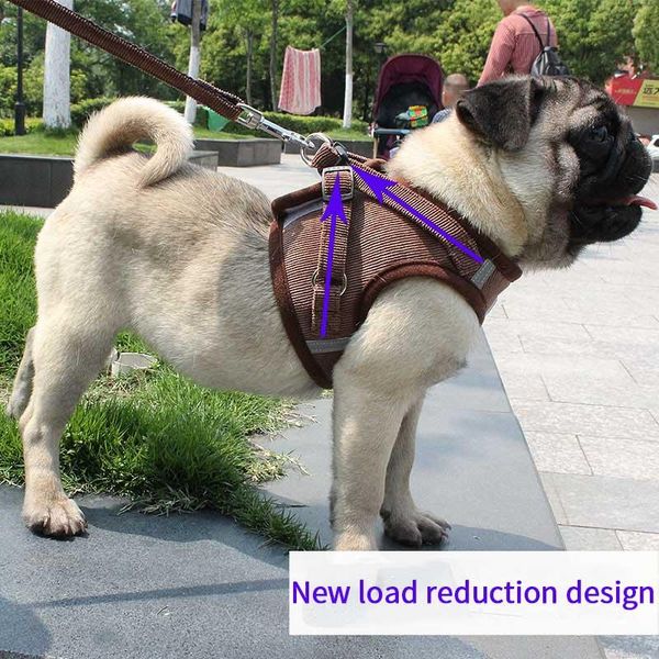 dog collars & leashes high-quality pet safety chest strap and leash set for small medium cat rope vest puppy reflective harness
dog collars & leashes high-quality pet safety chest strap and leash set for small medium cat rope vest puppy reflective harness