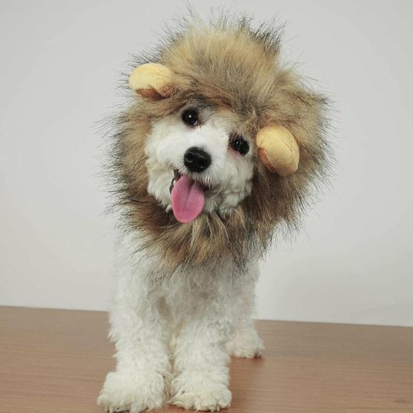 cat costumes funny pet small dog costume lion mane wig cap hat for halloween christmas clothes fancy dress with ears
cat costumes funny pet small dog costume lion mane wig cap hat for halloween christmas clothes fancy dress with ears