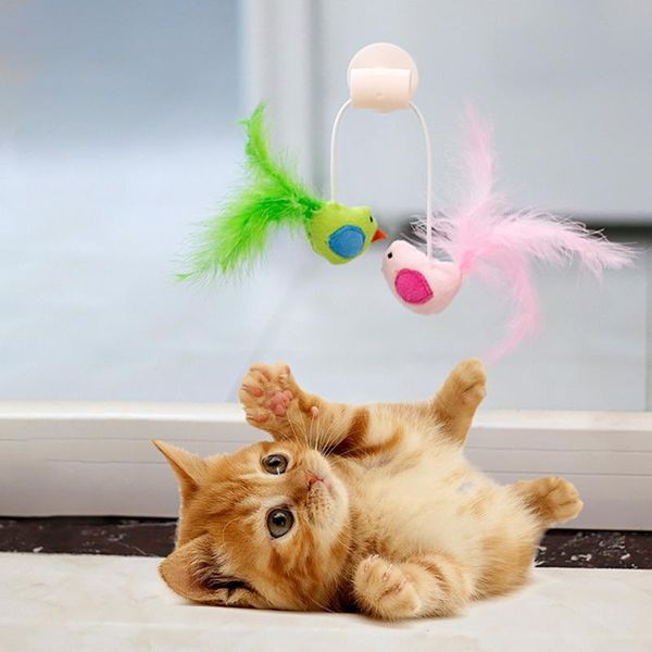 cat toys interactive mini funny feather birds playing for cats dogs home puppy kitten pet supplies
cat toys interactive mini funny feather birds playing for cats dogs home puppy kitten pet supplies
