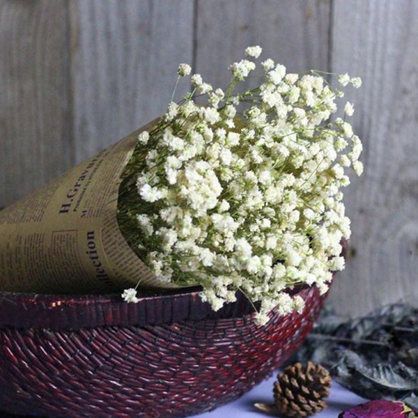 piece natural dried flowers artificial fake gypsophila diy floral bouquets wedding party home decor gift dry flower decorative & wreaths
piece natural dried flowers artificial fake gypsophila diy floral bouquets wedding party home decor gift dry flower decorative & wreaths