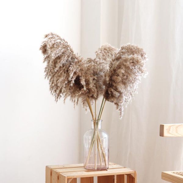 decorative flowers & wreaths 10pcs dried natural phragmites reed bulrush pampas grass decor home living room party wedding marriage decorati
decorative flowers & wreaths 10pcs dried natural phragmites reed bulrush pampas grass decor home living room party wedding marriage decorati