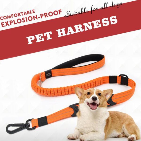 dog collars & leashes leads pet car safety seat belt nylon leash with soft padded handle walking training harness for medium and large
dog collars & leashes leads pet car safety seat belt nylon leash with soft padded handle walking training harness for medium and large
