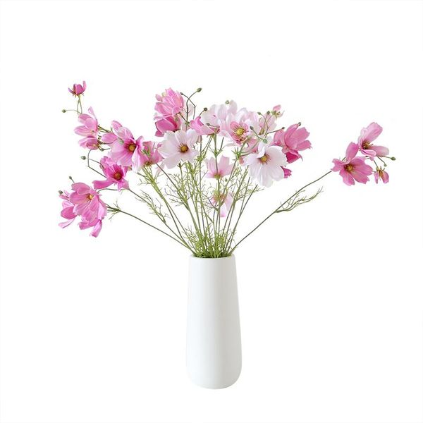 - 5pcs cosmos bipinnatus garden mexican aster beautiful wedding flower floral event party table decoration decorative flowers & wreath wreat
- 5pcs cosmos bipinnatus garden mexican aster beautiful wedding flower floral event party table decoration decorative flowers & wreath wreat