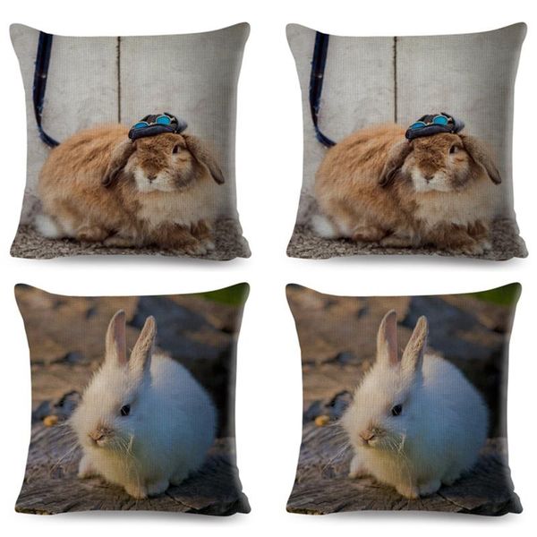 pillow case cushion cover pillowcase covers for sofa car home decor pet animal cotton linen
pillow case cushion cover pillowcase covers for sofa car home decor pet animal cotton linen