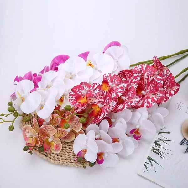 decorative flowers & wreaths simulation phalaenopsis wholesale 3d orchid el home decoration fake flower wedding set silk fabric
decorative flowers & wreaths simulation phalaenopsis wholesale 3d orchid el home decoration fake flower wedding set silk fabric