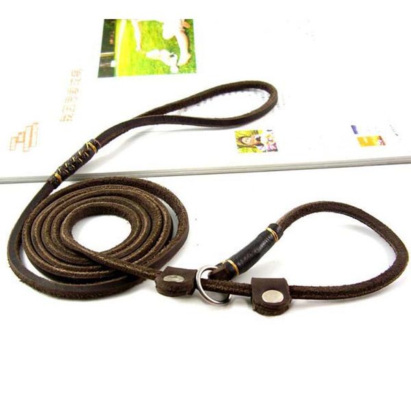 dog collars & leashes collar lead cow leather small dogs puppy p leash yorkshire terrier training rope pet accessory size 160x0.6cm
dog collars & leashes collar lead cow leather small dogs puppy p leash yorkshire terrier training rope pet accessory size 160x0.6cm