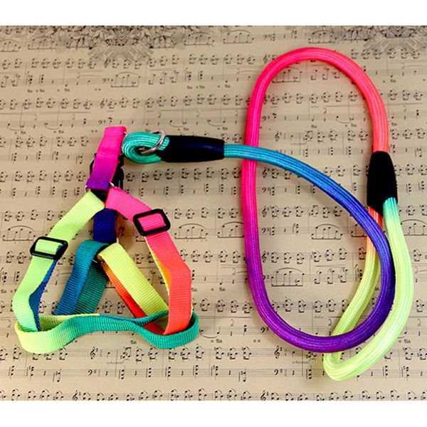 dog collars & leashes adjustable rainbow nylon puppy pet cat harness and leash vest lead daily training walking chest strap
dog collars & leashes adjustable rainbow nylon puppy pet cat harness and leash vest lead daily training walking chest strap
