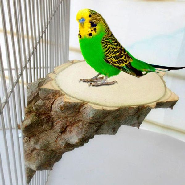 other bird supplies pet platform right angle wood perch parrot hamster squirrel cage playing stand jumping board
other bird supplies pet platform right angle wood perch parrot hamster squirrel cage playing stand jumping board