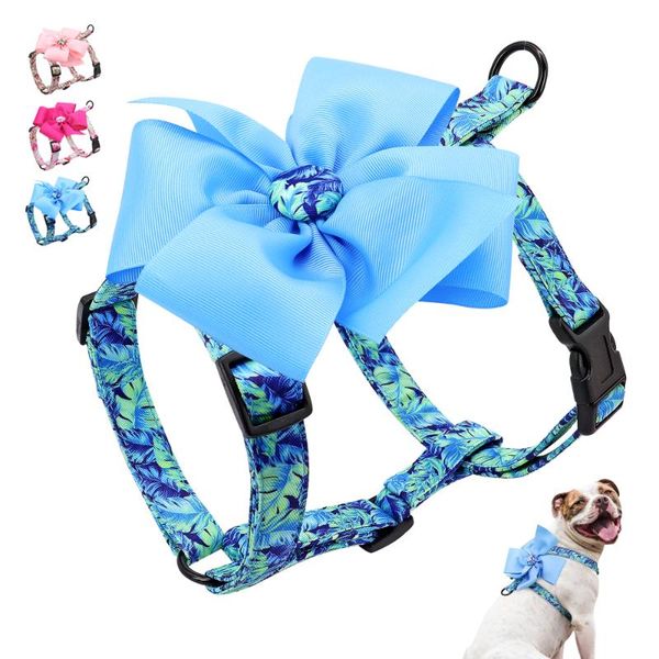 dog collars & leashes cute flower cat harness adjustable nylon pet puppy for small medium large dogs cats soft printed kitten vest
dog collars & leashes cute flower cat harness adjustable nylon pet puppy for small medium large dogs cats soft printed kitten vest