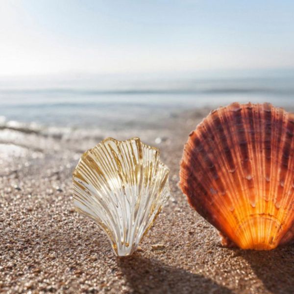 wall lamps fashion shell lamp nordic light luxury for home lights bedroom bedside living room tv background decoration lighting
wall lamps fashion shell lamp nordic light luxury for home lights bedroom bedside living room tv background decoration lighting