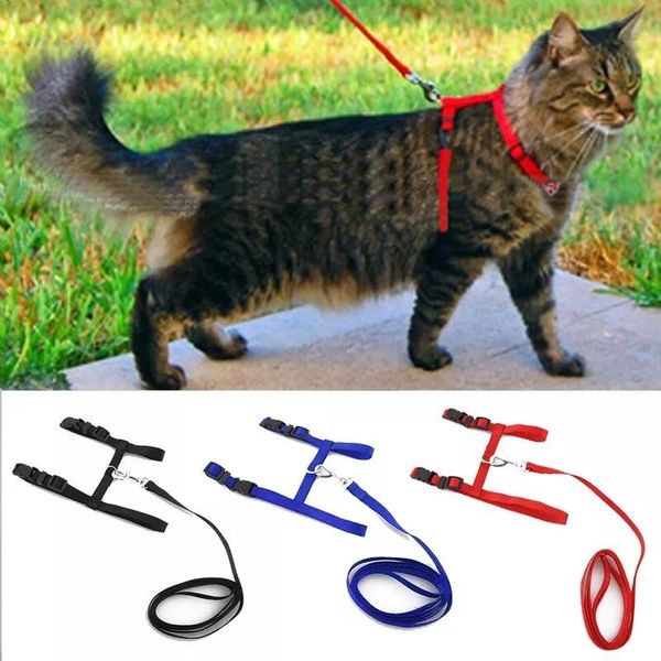 cat collars & leads collar harness leash adjustable nylon kitten halter pet traction puppy dog product belt
cat collars & leads collar harness leash adjustable nylon kitten halter pet traction puppy dog product belt