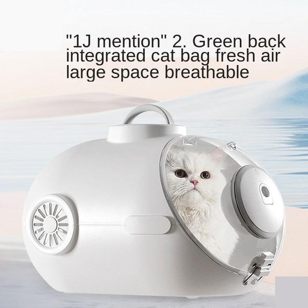 dog car seat covers vow pets 2021 fashion summer air bag out portable oblique cat supplies across large capacity fan
dog car seat covers vow pets 2021 fashion summer air bag out portable oblique cat supplies across large capacity fan
