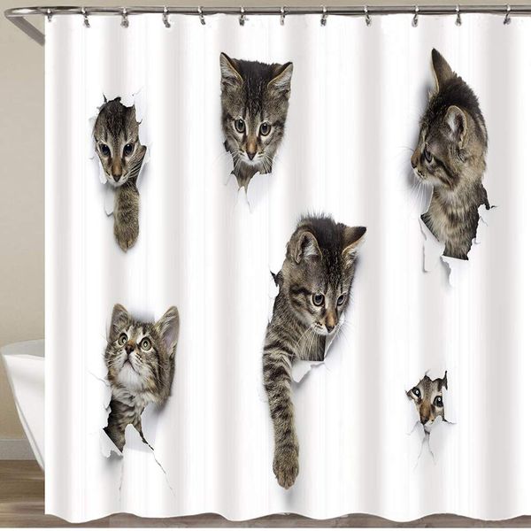 kittens in holes of paper little gr shower curtain
kittens in holes of paper little gr shower curtain