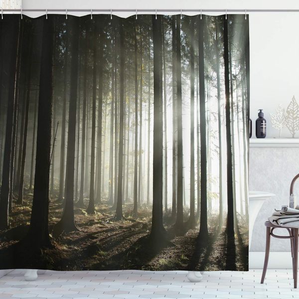 forest shower curtain, coniferous forest with leafless branches on a misty autumn morning and rising sun, cloth fabric bathroom
forest shower curtain, coniferous forest with leafless branches on a misty autumn morning and rising sun, cloth fabric bathroom