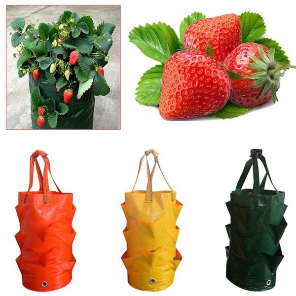 planters & pots multi-mouth grow bag pe strawberry growing garden hanging planting reusable balconies vegetable flower planter
planters & pots multi-mouth grow bag pe strawberry growing garden hanging planting reusable balconies vegetable flower planter