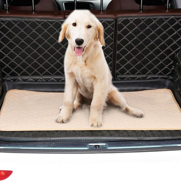 kennels & pens reusable dog diaper waterproof pet urine mat water absorbent for cat sleeping bed blanket puppy training pad
kennels & pens reusable dog diaper waterproof pet urine mat water absorbent for cat sleeping bed blanket puppy training pad