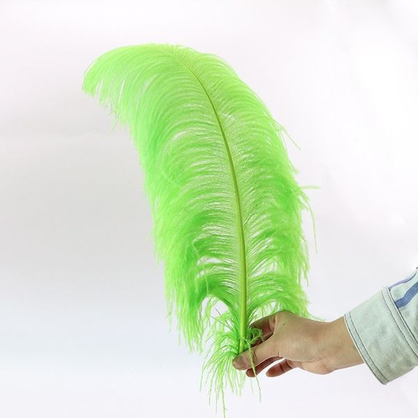 10pcs/lot orange ostrich feather 55-60 cm diy feathers for crafts carnival party halloween wedding decorations jewelry plumas
10pcs/lot orange ostrich feather 55-60 cm diy feathers for crafts carnival party halloween wedding decorations jewelry plumas