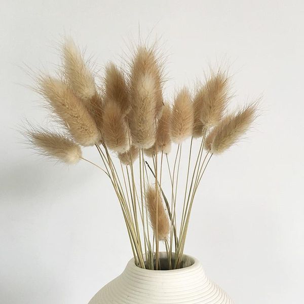 stems dried flower tail natural plants floral grass bouquet home decoration accessories pography props flores decorative flowers & wre wreat
stems dried flower tail natural plants floral grass bouquet home decoration accessories pography props flores decorative flowers & wre wreat