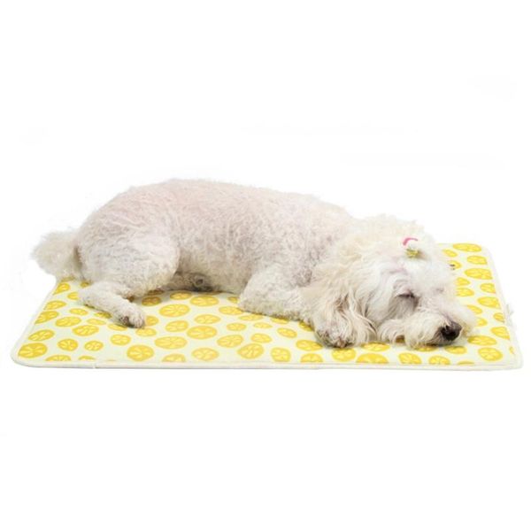 kennels & pens pet summer cooling mat for dogs cats absorbent environment protect diaper washable reusable training pad dog car seat cover
kennels & pens pet summer cooling mat for dogs cats absorbent environment protect diaper washable reusable training pad dog car seat cover