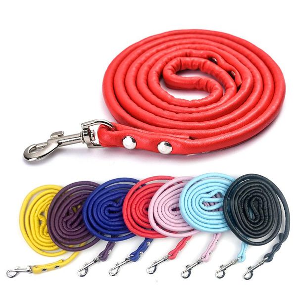 dog collars & leashes pu leather lesds rope small leash chain round multicolour traction puppy walking training medium pet cat lead
dog collars & leashes pu leather lesds rope small leash chain round multicolour traction puppy walking training medium pet cat lead